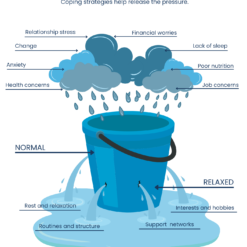 The Stress Bucket | Beyond Liminal