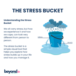 The Stress Bucket | Beyond Liminal