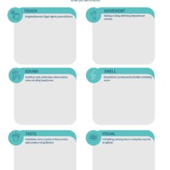 Emotional Regulation Sensory Profile and Plan