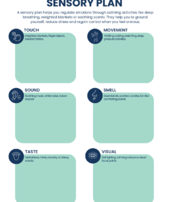 Emotional regulation sensory plan