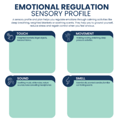 Emotional regulation sensory profile and plan