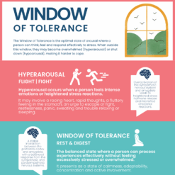 Window of Tolerance | Beyond Liminal