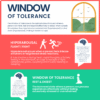 Window of Tolerance | Beyond Liminal