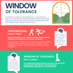 Window of Tolerance | Beyond Liminal